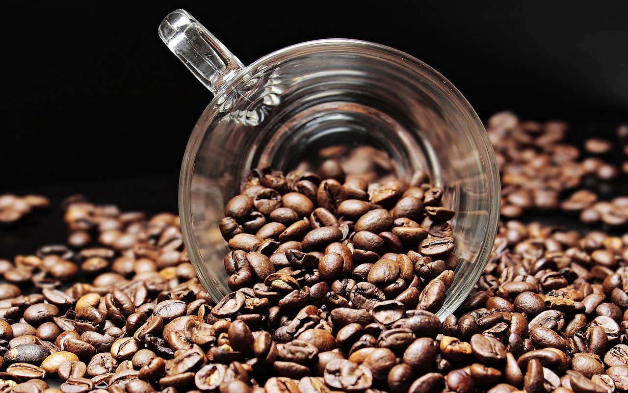 La douceur d'un grain café coffee beans, cup, coffee cup, coffee, beans, caffeine, mug, glass cup, glass mug, coffee mug, roasted, cafe, food, stimulant, coffee, coffee, coffee, coffee, coffee, cafe